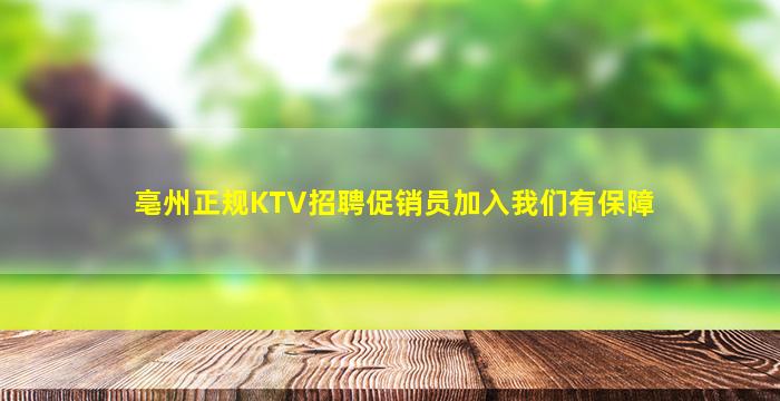 亳州正规KTV招聘促销员加入我们有保障